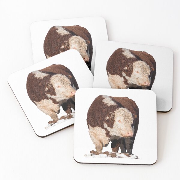 Item preview, Hereford Bull Placement Print designed and sold by Jane Stanley Photography.