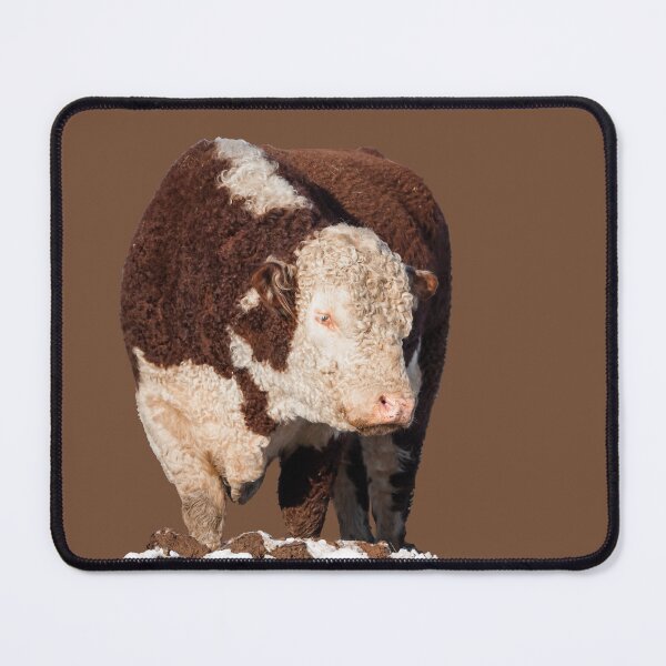 Item preview, Hereford Bull Placement Print designed and sold by Jane Stanley Photography.
