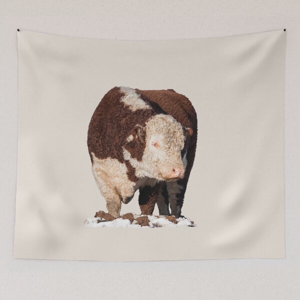 Item preview, Hereford Bull Placement Print designed and sold by Jane Stanley Photography.