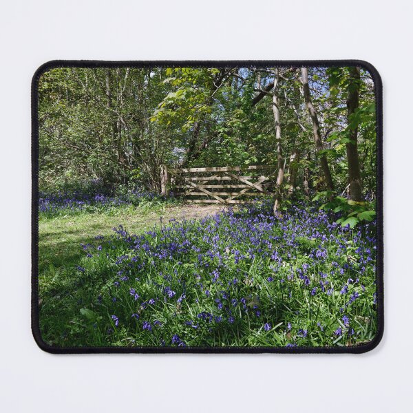 Item preview, Spring Bluebells in a wood in Kent England UK  designed and sold by John Gilham - Landscape Photography.