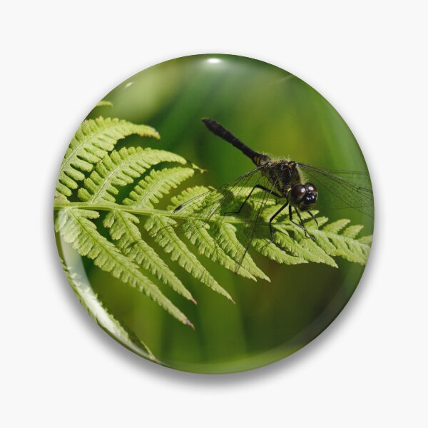 Item preview, Fernside. Black Darter designed and sold by Jouko Lehto Photography.