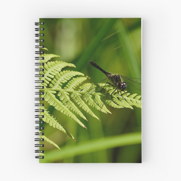 Item preview, Fernside. Black Darter designed and sold by Jouko Lehto Photography.