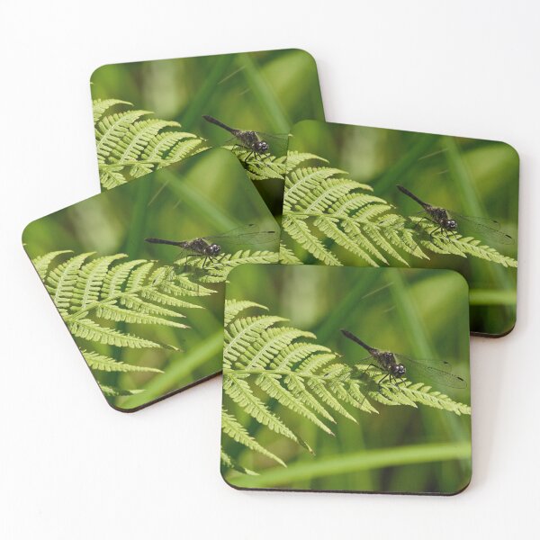Item preview, Fernside. Black Darter designed and sold by Jouko Lehto Photography.