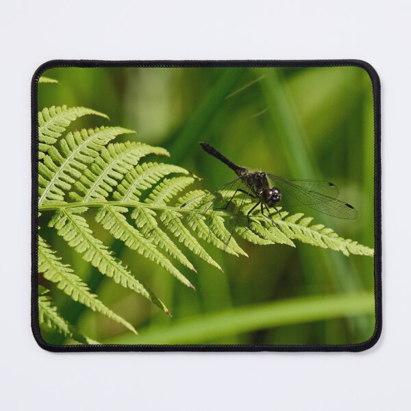 Item preview, Fernside. Black Darter designed and sold by Jouko Lehto Photography.