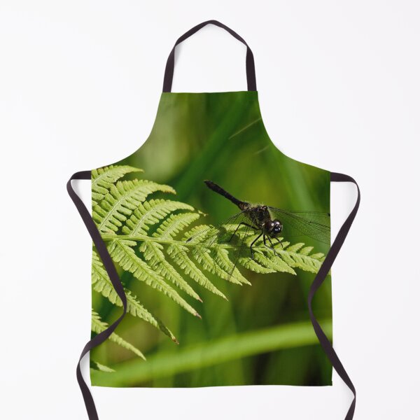 Item preview, Fernside. Black Darter designed and sold by Jouko Lehto Photography.
