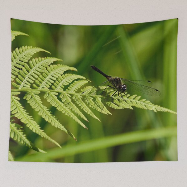 Item preview, Fernside. Black Darter designed and sold by Jouko Lehto Photography.