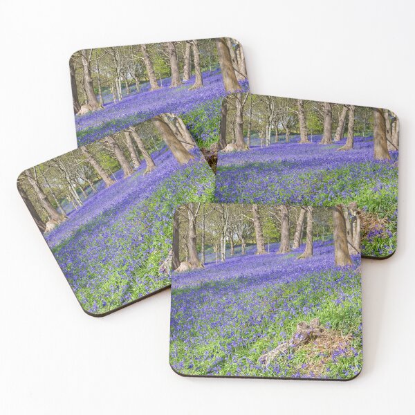 Item preview, Bluebells in an English Woodland  designed and sold by John Gilham - Landscape Photography.