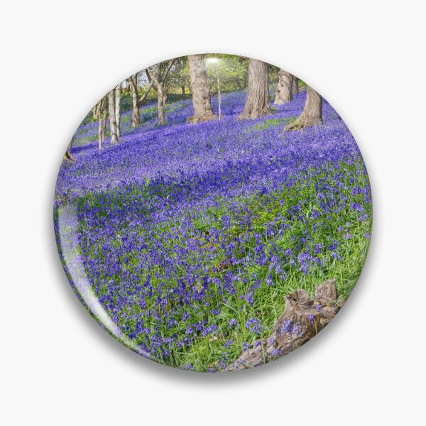 Item preview, Bluebells in an English Woodland  designed and sold by John Gilham - Landscape Photography.