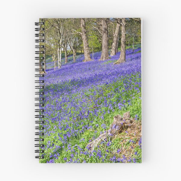 Item preview, Bluebells in an English Woodland  designed and sold by John Gilham - Landscape Photography.