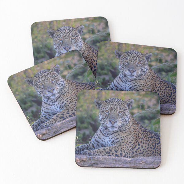 Item preview, Jaguar Relaxing Pantanal Brazil 2 designed and sold by PhotoArt by Joan Carroll.