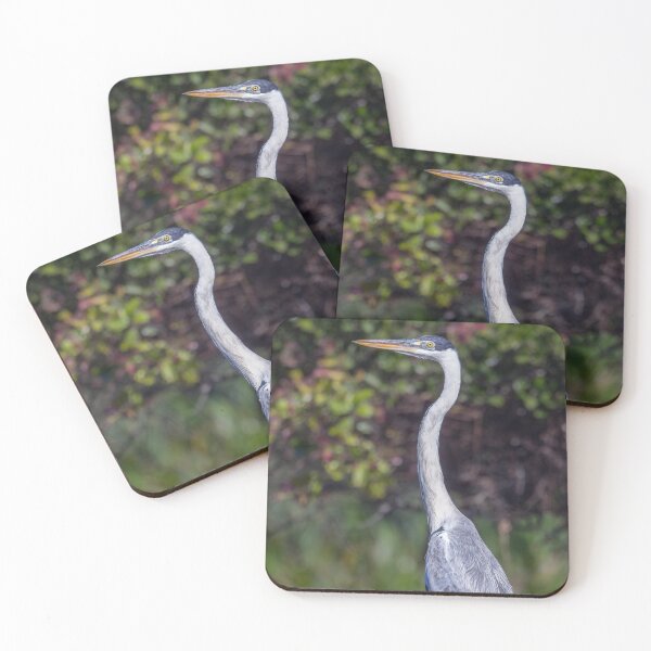 Item preview, Cocoi Heron Pantanal Brazil designed and sold by PhotoArt by Joan Carroll.