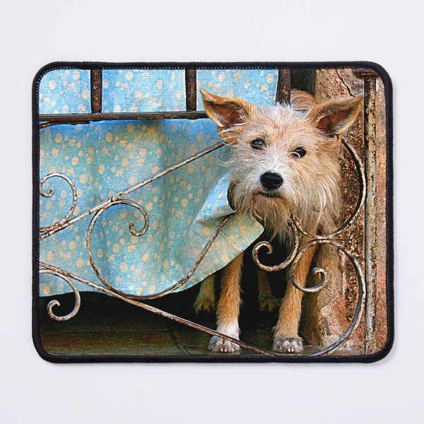 Item preview, Scruffy Dog designed and sold by HilaryRoberts.