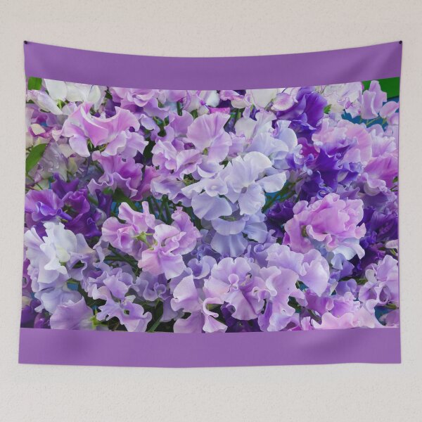 Item preview, Purple Sweet Peas designed and sold by Andrew Fletcher Photography.
