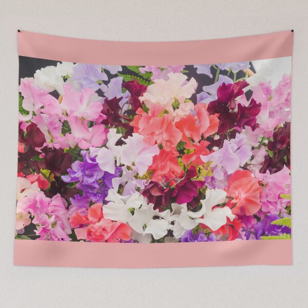 Item preview, Sweet peas in all colours designed and sold by Andrew Fletcher Photography.