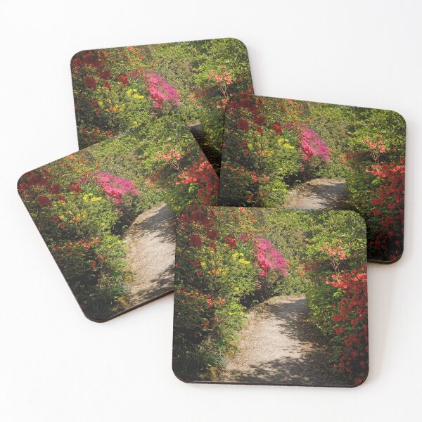 Item preview, A walk through the Rhododendrons and Azaleas in an English Park and Gardens  designed and sold by John Gilham - Landscape Photography.
