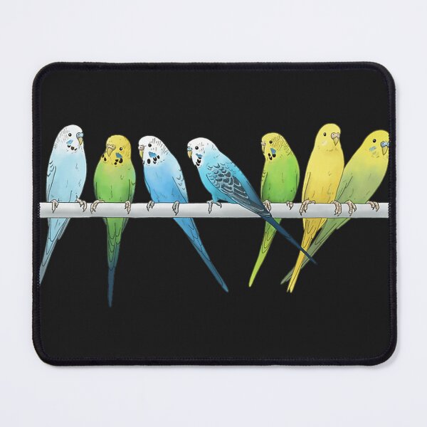 Item preview, Rows Of Budgies Pet Birds Sitting On A Perch A On White Background designed and sold by RobinBrow5.