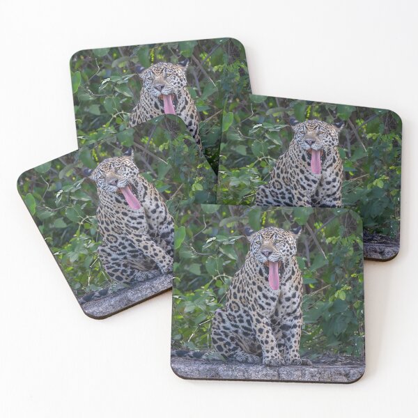 Item preview, Jaguar Yawns Pantanal Brazil 2 designed and sold by PhotoArt by Joan Carroll.