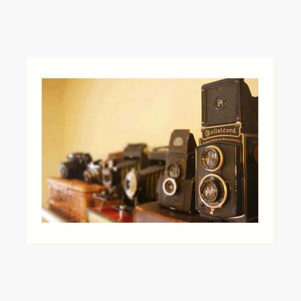 Vintage Cameras Art Print