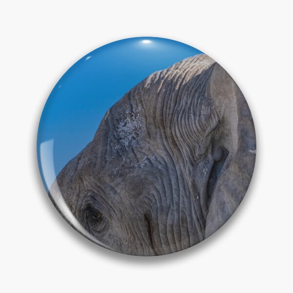 Item preview, Head of elephant in close up  designed and sold by Photopat.