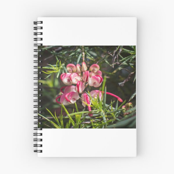 Item preview, Grevillea Leith Park Australia 20150907 0313 designed and sold by Fred Mitchell.