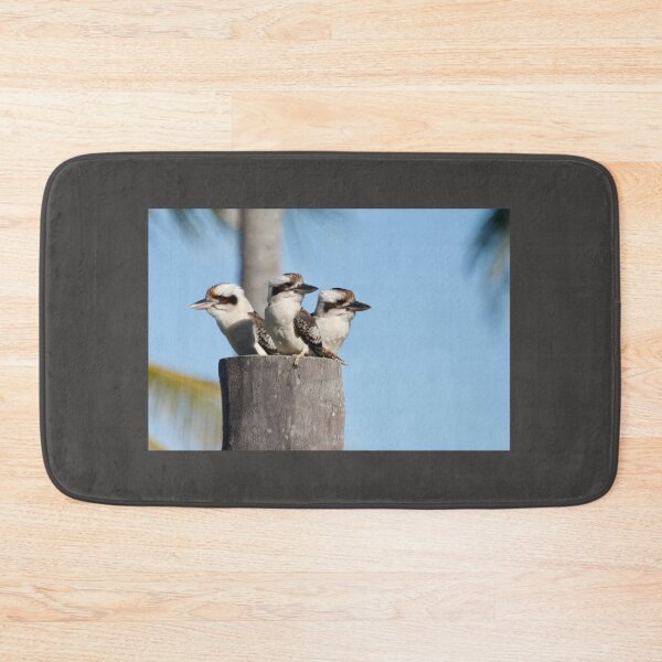 Item preview, Kookaburra Trio designed and sold by MargsNaturePix.