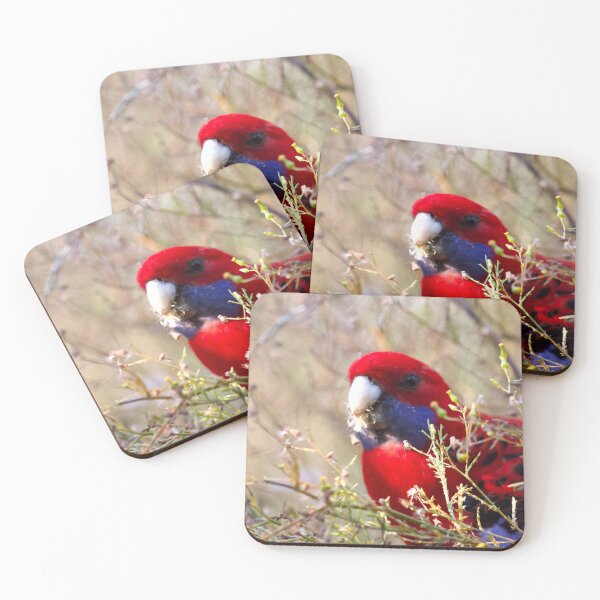 Item preview, Crimson rosella close up  designed and sold by MargsNaturePix.
