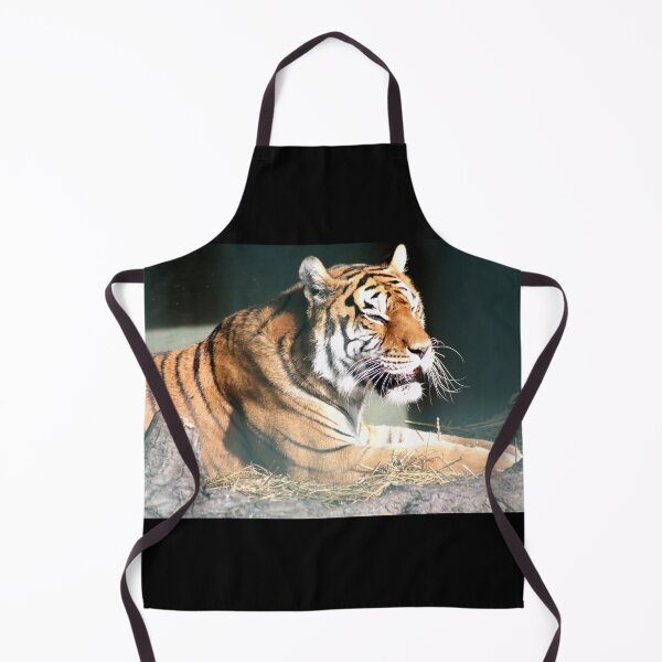 Item preview, Cheese! designed and sold by PoppyPirate.