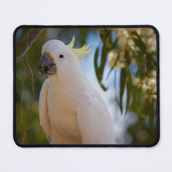 Item preview, Sulphur crested cockatoo  designed and sold by MargsNaturePix.
