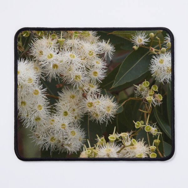 Item preview, Flowering Gum  designed and sold by MargsNaturePix.