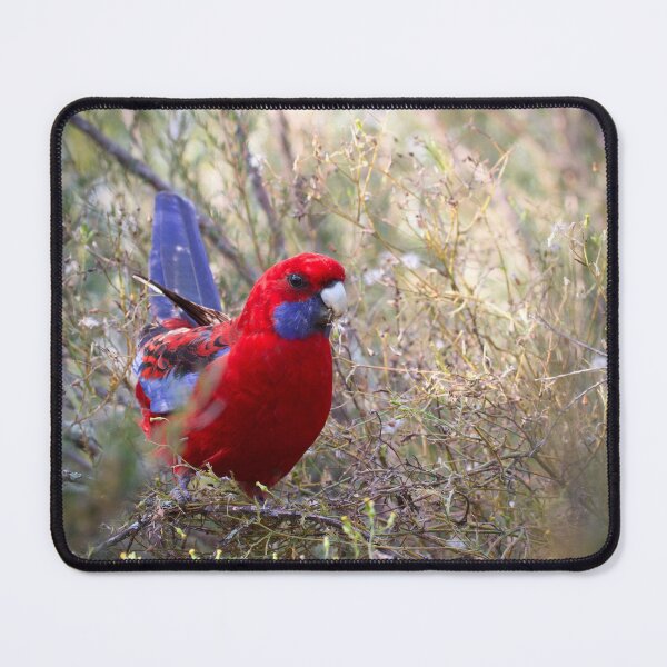Item preview, Crimson Rosella  designed and sold by MargsNaturePix.