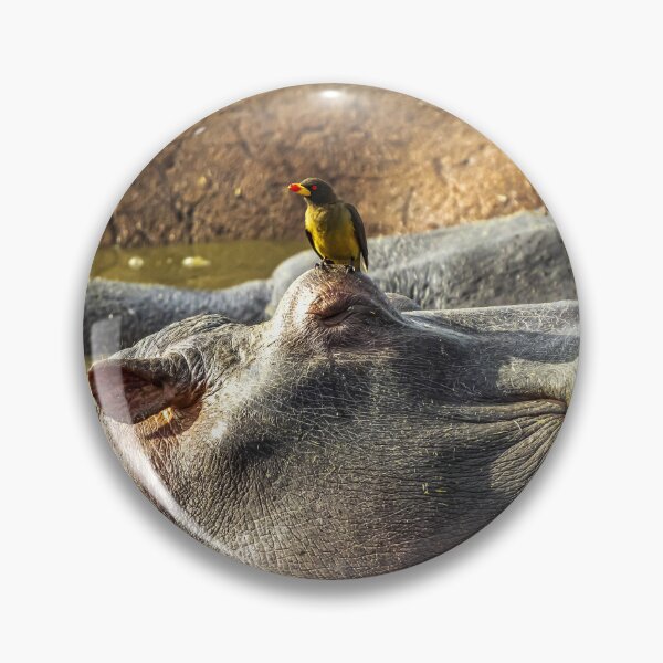 Item preview, Hippo With Bird Serengeti Tanzania Wildlife Safari designed and sold by Amanda's Factory.