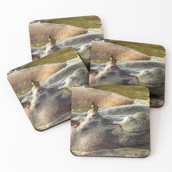 Item preview, Hippo With Bird Serengeti Tanzania Wildlife Safari designed and sold by Amanda's Factory.
