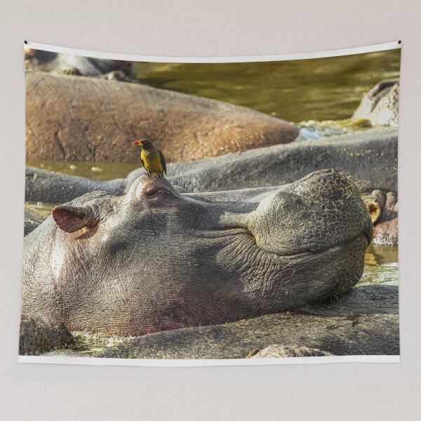 Item preview, Hippo With Bird Serengeti Tanzania Wildlife Safari designed and sold by Amanda's Factory.