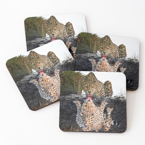 Item preview, Sunrise Salomon Group eFields Brighten Spirit. designed and sold by Su- mi.