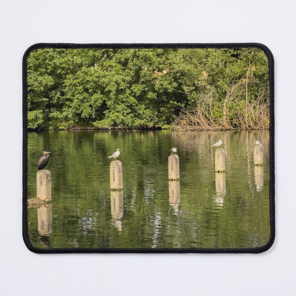 Item preview, Birds resting on wooden posts across lake designed and sold by bailey-cooper.
