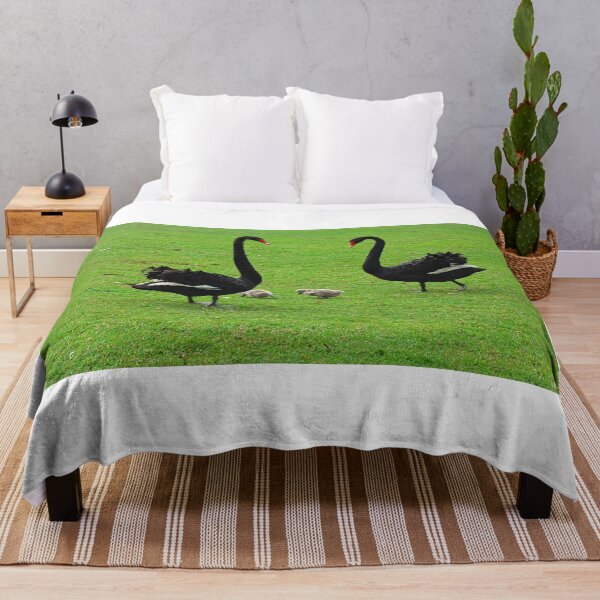 Item preview, Family of Black Swans At Swan Lake Iris Garden SC designed and sold by LisaWootenPhoto.