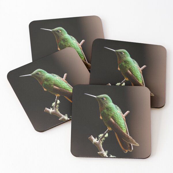 Item preview, Chestnut-breasted Coronet Hummingbird designed and sold by AmberLeung.