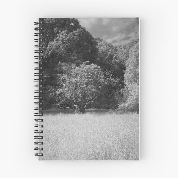 Item preview, Ebernoe Tree designed and sold by dagabhriel.