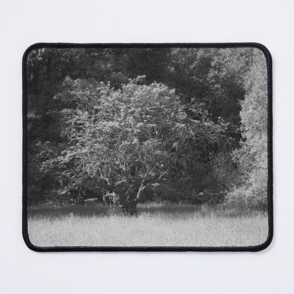 Item preview, Ebernoe Tree designed and sold by dagabhriel.
