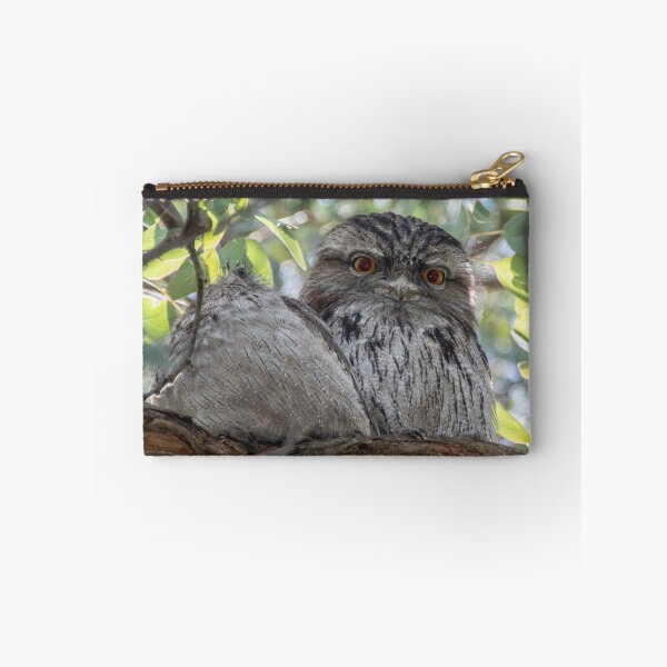 Item preview, Bright Eyed Tawny Frogmouth Leith Park Victoria 20180510 2734  designed and sold by Fred Mitchell.