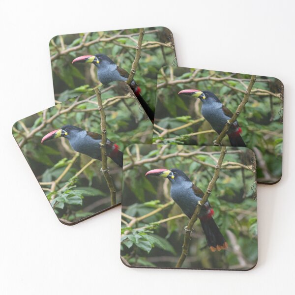 Item preview, Mountain Toucan designed and sold by AmberLeung.