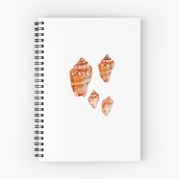 Item preview, Florida fighting conch seashells designed and sold by Knoyes409.