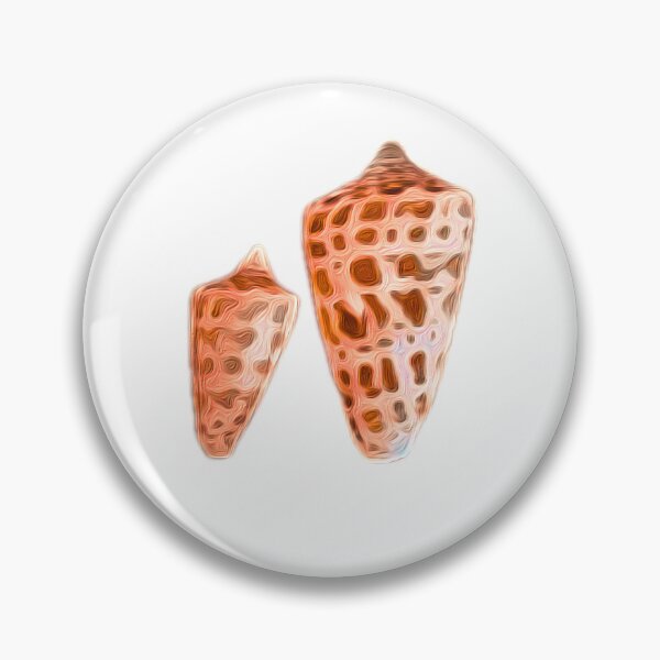 Item preview, Florida’s alphabet cone seashell designed and sold by Knoyes409.
