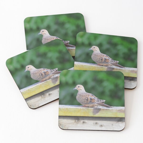 Item preview, Mourning Dove Staring designed and sold by BackyardBirder.