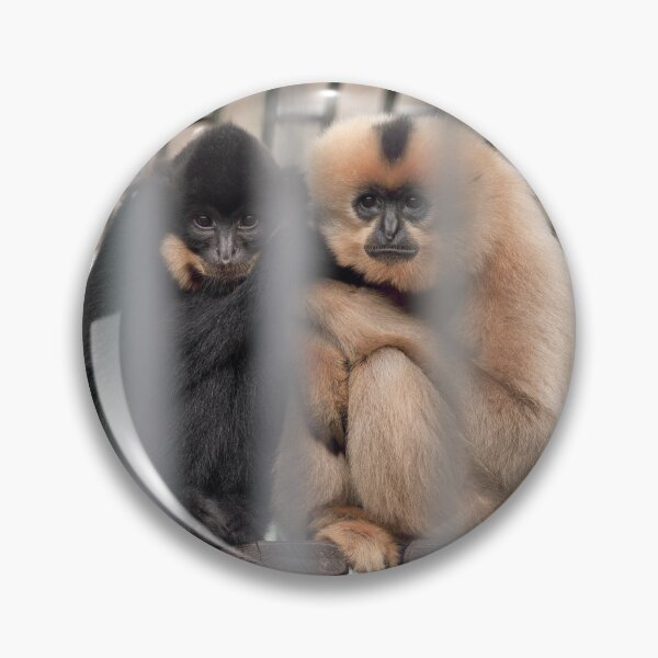 Item preview, Monkeys Behind Bars – Captivity and Freedom designed and sold by RastislavS.
