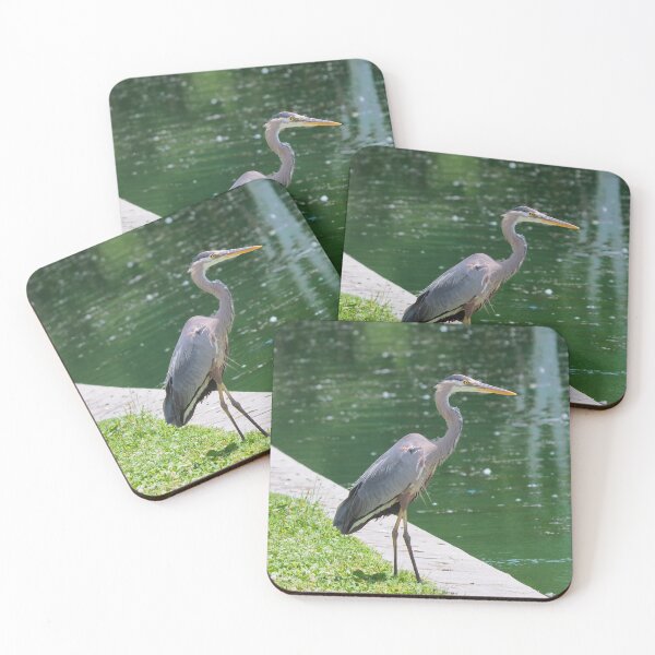 Item preview, A Great Blue Heron Standing Next To a Pond Searching For a Fish designed and sold by BackyardBirder.