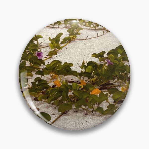 Item preview, Vines of flowers crawl over the sand of North Captiva Island Florida designed and sold by Knoyes409.