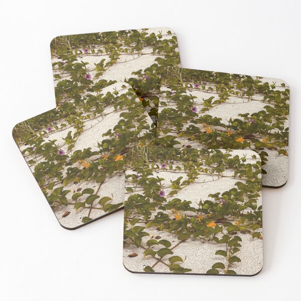 Item preview, Vines of flowers crawl over the sand of North Captiva Island Florida designed and sold by Knoyes409.