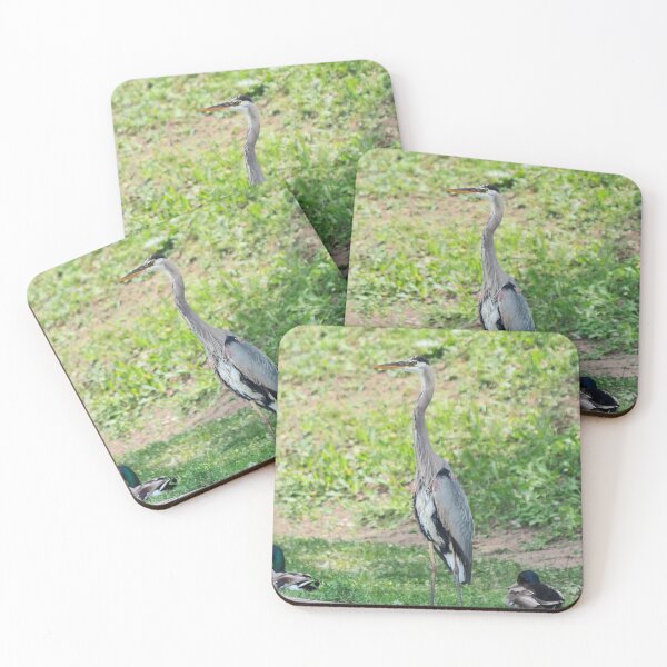 Item preview, A Wet, Great Blue Heron designed and sold by BackyardBirder.