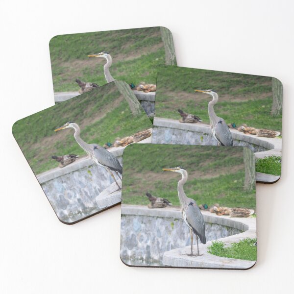 Item preview, Great Blue Heron Standing With Some Mallard Ducks designed and sold by BackyardBirder.